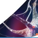 Asuragen AmplideX PCR/CE HTT it for Huntington’s Disease