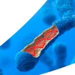 Asuragen: FragileX