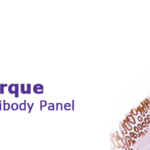 Cell Marque Mucins Antibody Panel