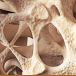 Osteopontin in the spotlight