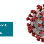 AccuPlex SARS-CoV-2, Flu A/B, and RSV Molecular Controls