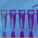 CerTest VIASURE Pneumocystis jirovecii RT PCR kit