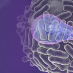 Certest – VIASURE Monkeypox Real-Time PCR Detection Kit (RUO)