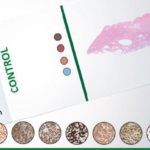 HistoCyte – Cell line control material