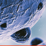 HMGB1 – Multi-tasker of the innate immune system