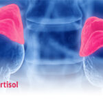 Fully Automated Urinary Cortisol Assay