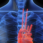 The Most Complete Cardiac QC – Consolidated into One