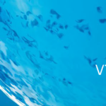 New products available from Vircell