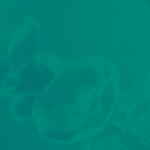 Vircell – VirClia Monotests for STI Diagnosis