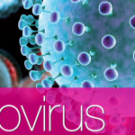 New PCR AmpliRun Controls for Arbovirus