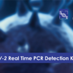 CerTest VIASURE SARS-CoV-2 Real Time PCR Detection Kit