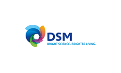 DSM Logo