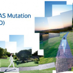 New Idylla NRAS Mutation Test (CE-IVD)