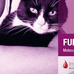 New Levels of Allergy Management:  Furry Animals