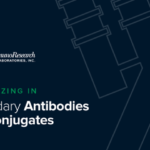 Looking for antibodies to develop a serological test?