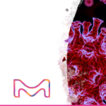 Merck launches MILLIPLEX Immunoassays for COVID-19 research