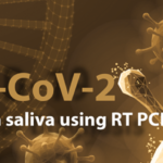 SARS-CoV-2 Detection in Saliva Using RT PCR