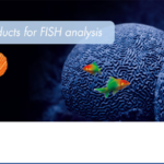 Unique from ZytoVision – ZytoLight SPEC EWSR1/FLI1 TriCheck Probe